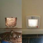 Cat-flap-Tristram-Road-Ducklington