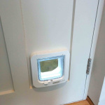 New Cat Flap in Door
